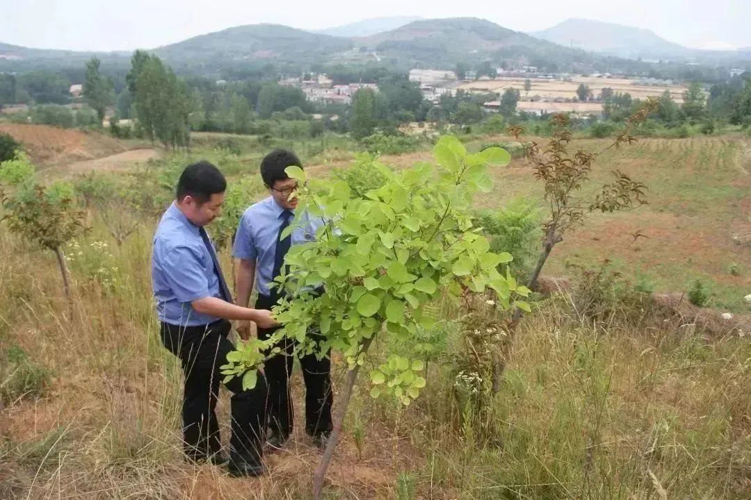 ��䓣�̽���γɡ��������ߡ��Vɽ���B(t��i)�ޏ�(f��)��ģʽ